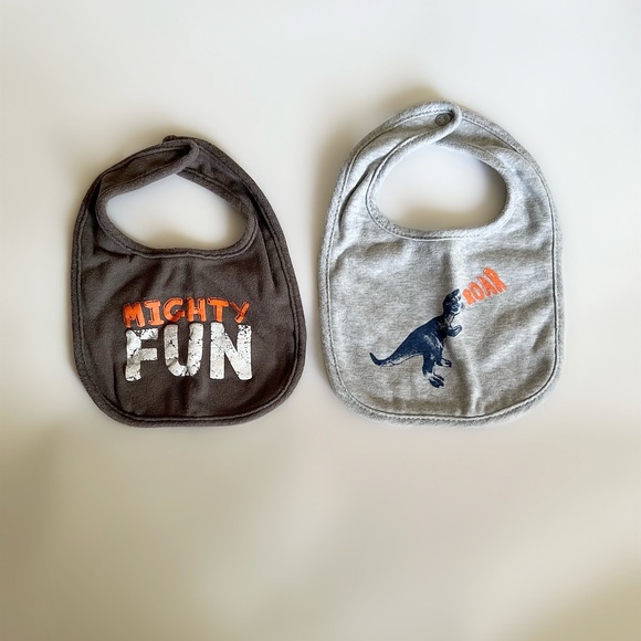 Hudson Baby Other - Hudson Baby Bibs 2 Pack One Size